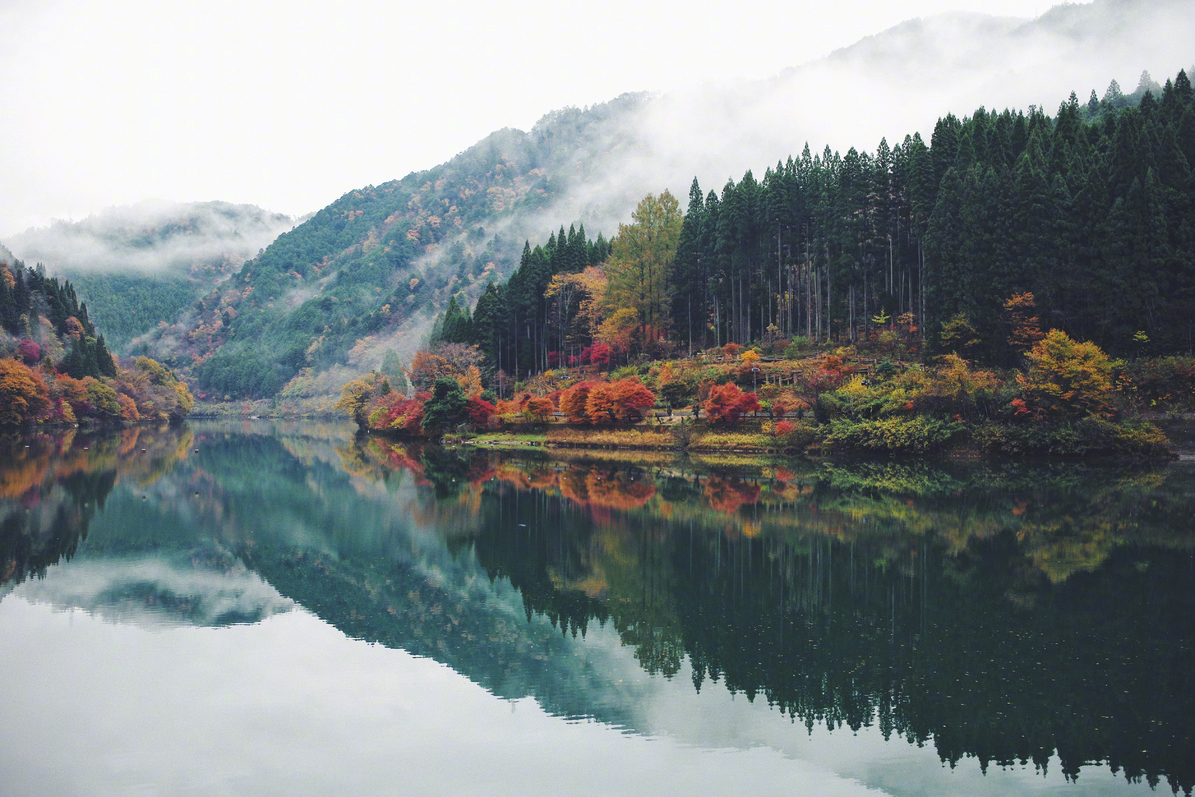 The Natural Scenery