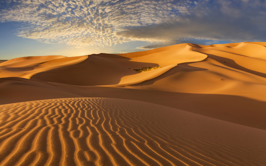 Inner Mongolia