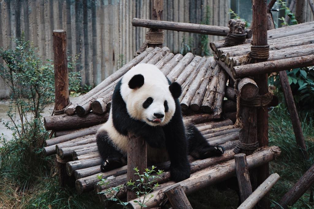 Qinling