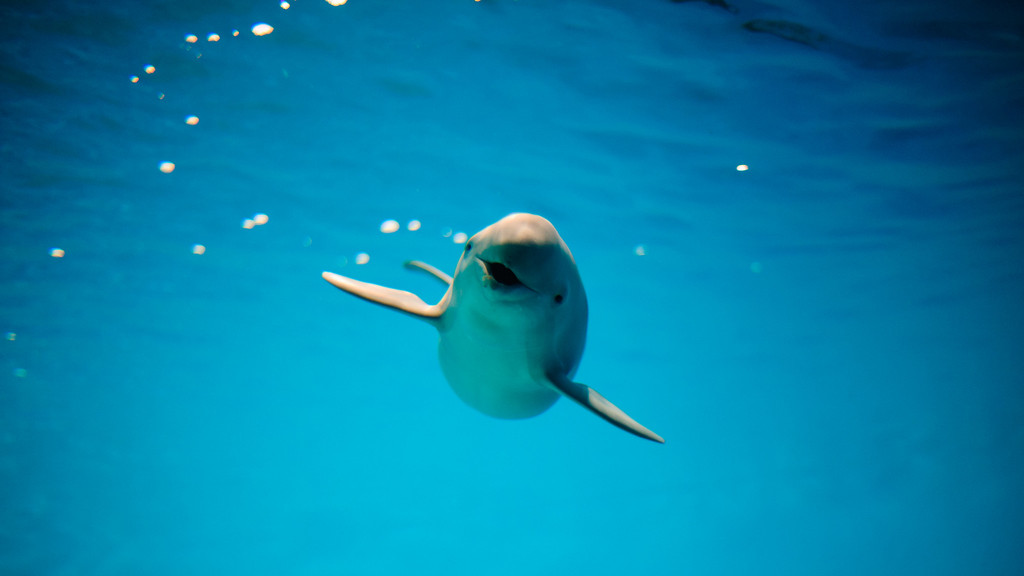 江西鄱阳湖