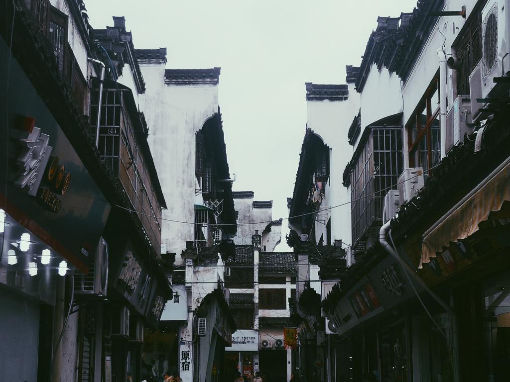 专业的导师团队