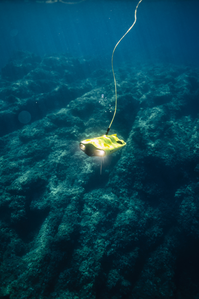 Innovative Design of Underwater  Robots
