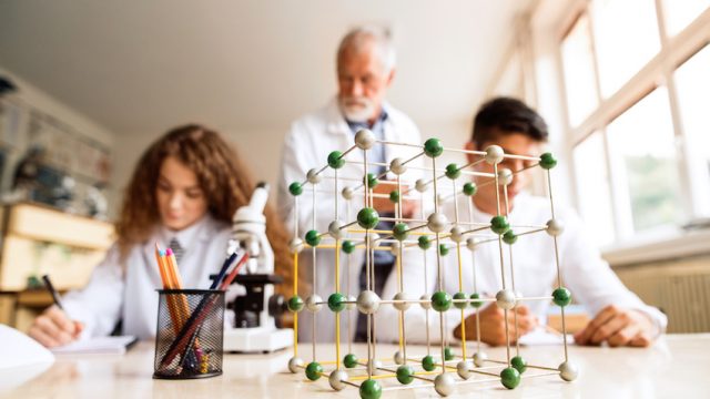 Intermediate Biology Olympiad (IBO)
