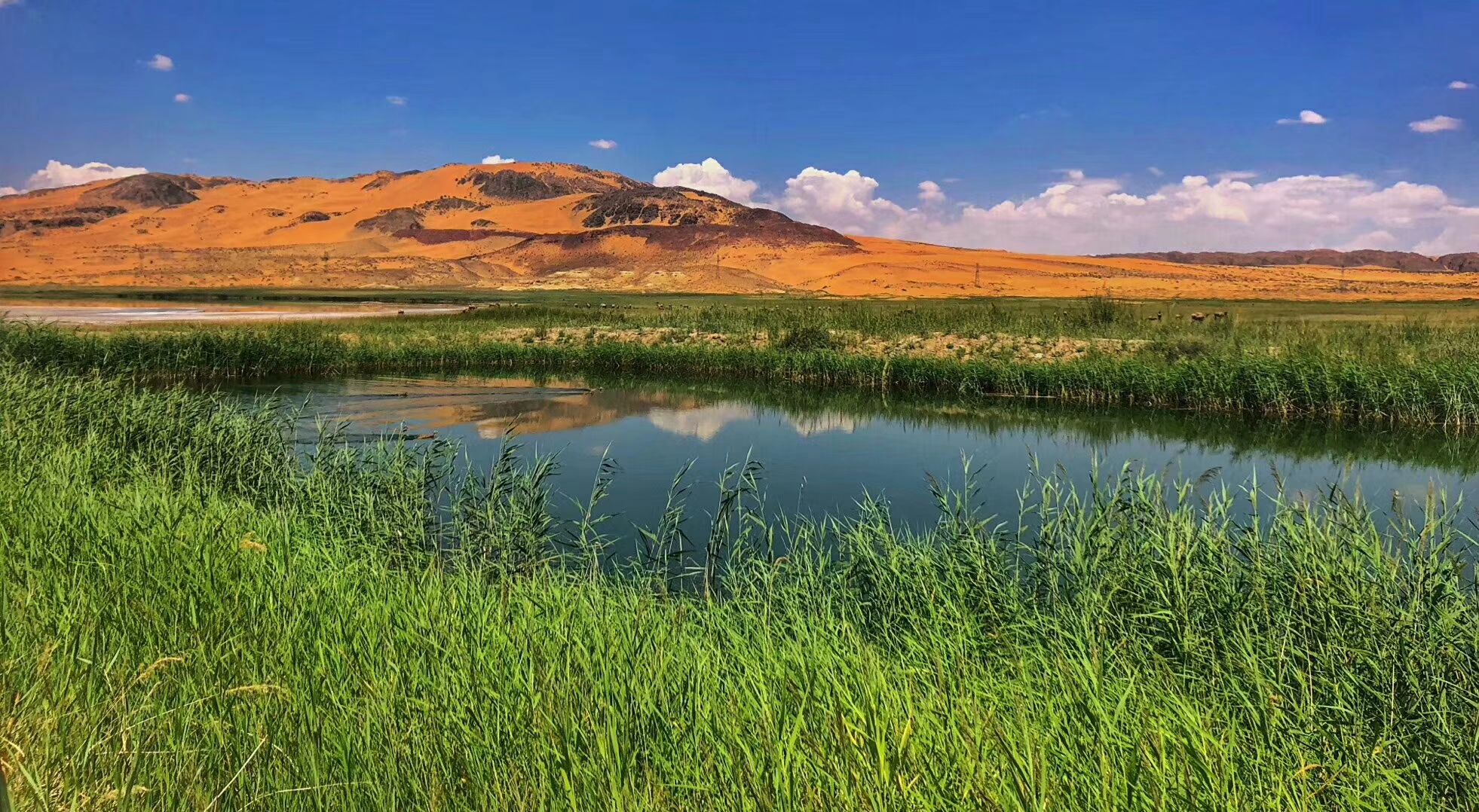 【Inner Mongolia】Desertification and Ecological Restoration in Alax Desert