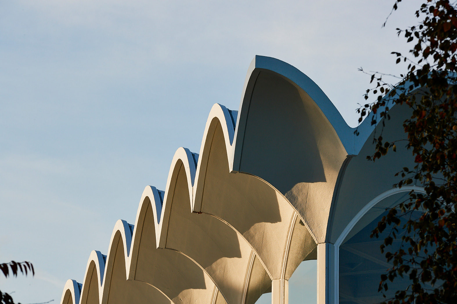 Fitzwilliam College Summer School Programme