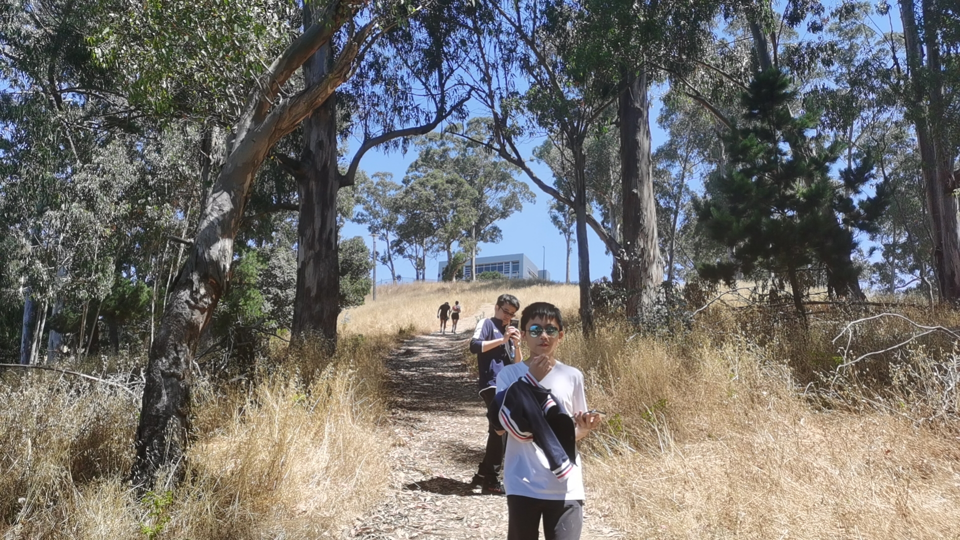 登顶 Big C,解锁伯克利全景视野!