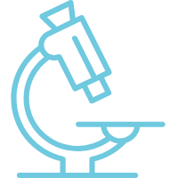 Intermediate Biology Olympiad (iBO)